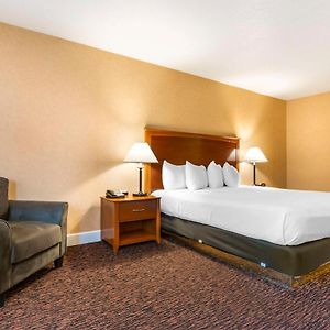 Executive King Room Non-Smoking